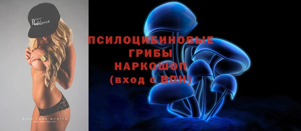 индика Баксан