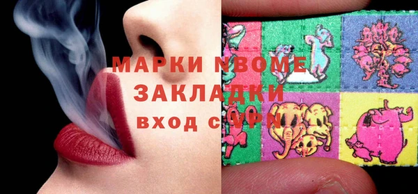 индика Баксан