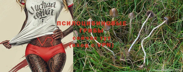 индика Баксан