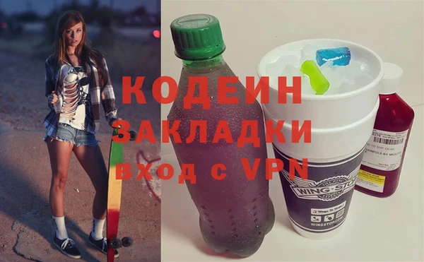 индика Баксан