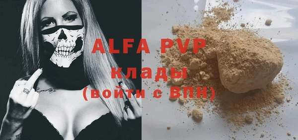 индика Баксан