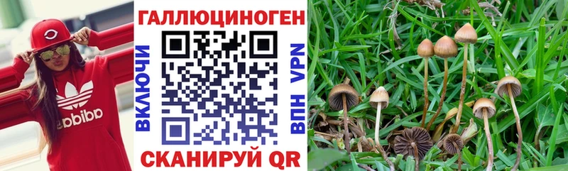 Псилоцибиновые грибы мухоморы  Ясногорск 